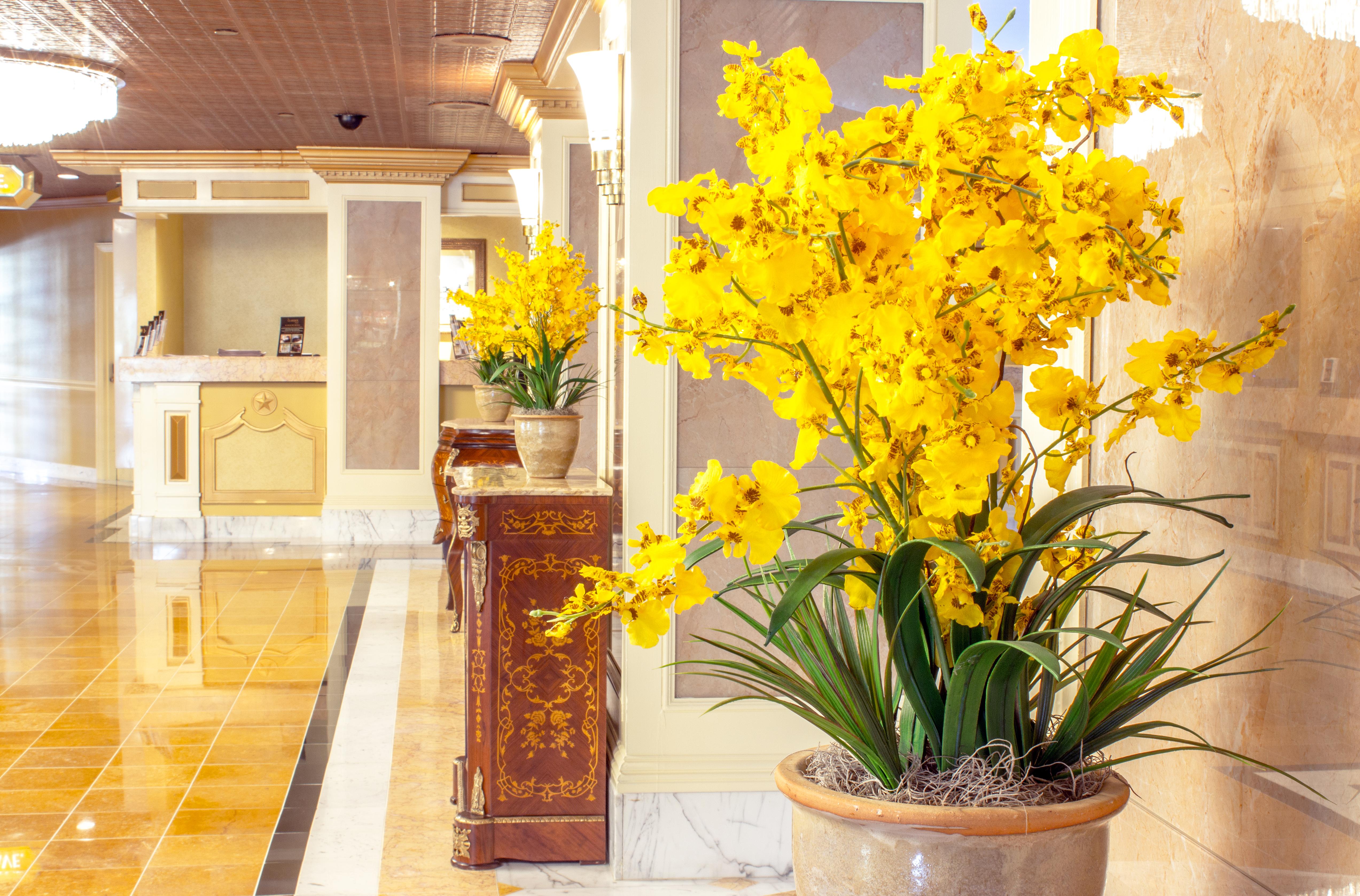 The Claridge Hotel Atlantic City Ngoại thất bức ảnh
